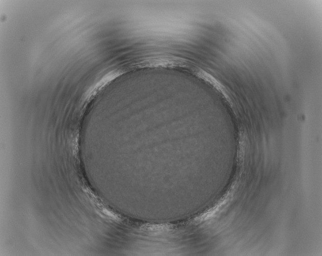 X0000088590778200706221340