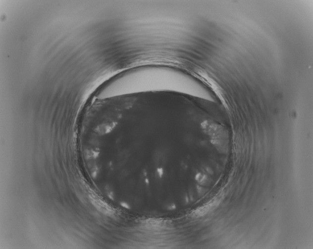 X0000088590779200706221340