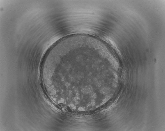 X0000088590780200706221340