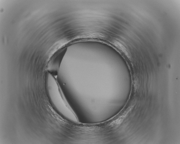 X0000088590781200706221340