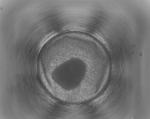 X0000088590782200706221340