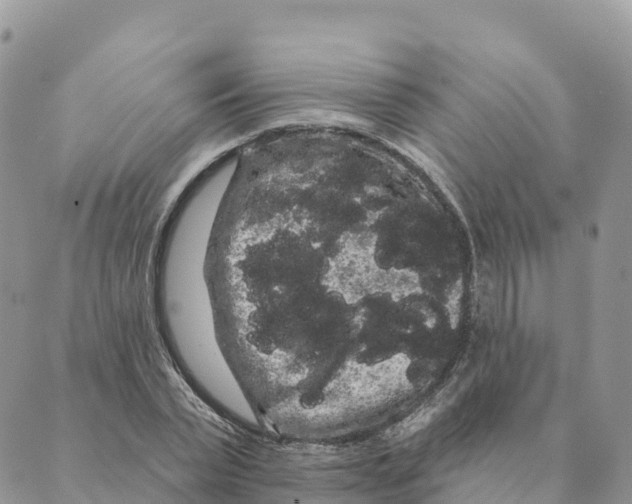 X0000088590783200706221340