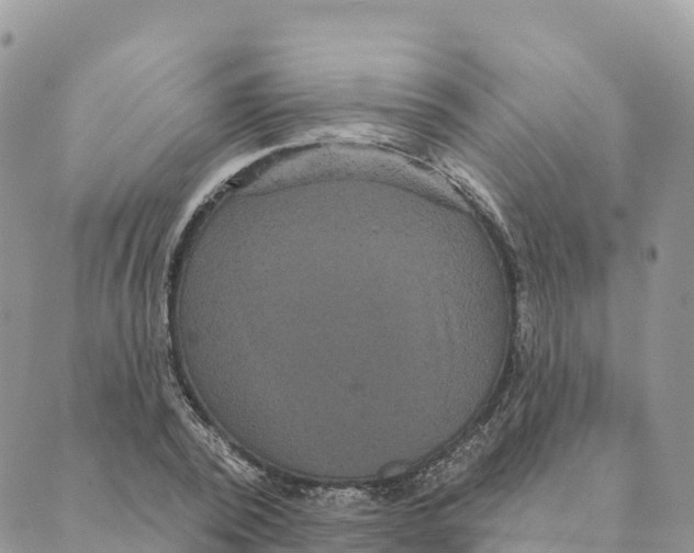 X0000088590784200706221340