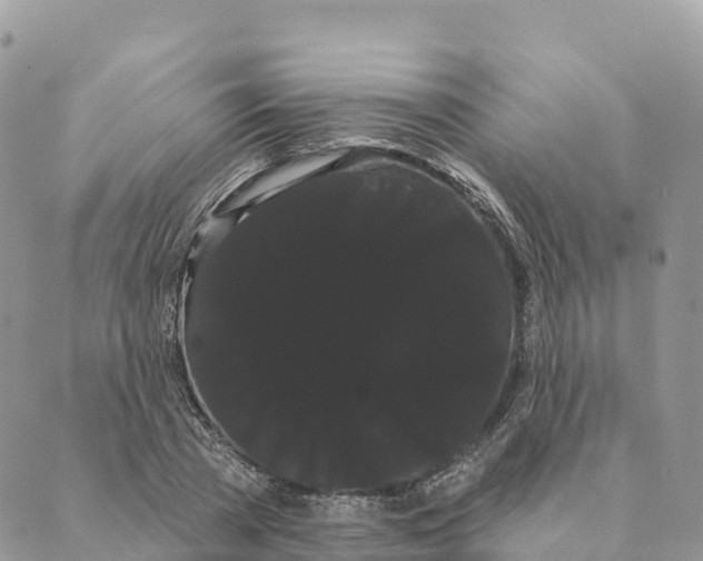 X0000088590785200706221340