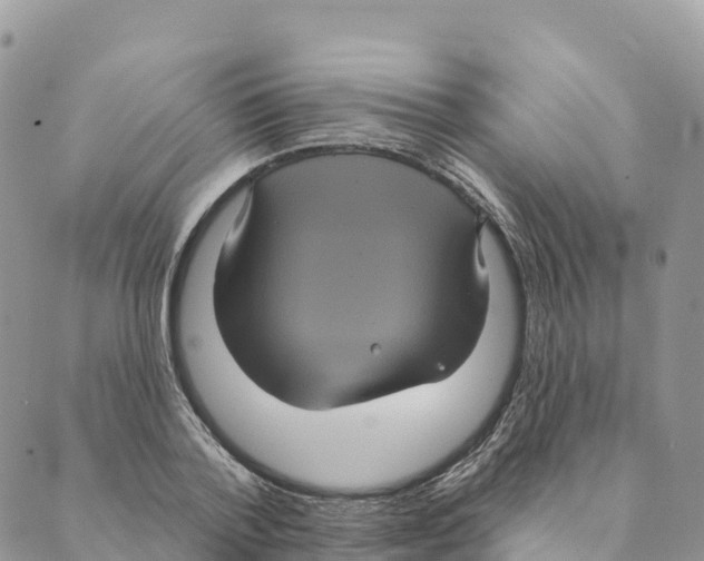 X0000088590788200706221340