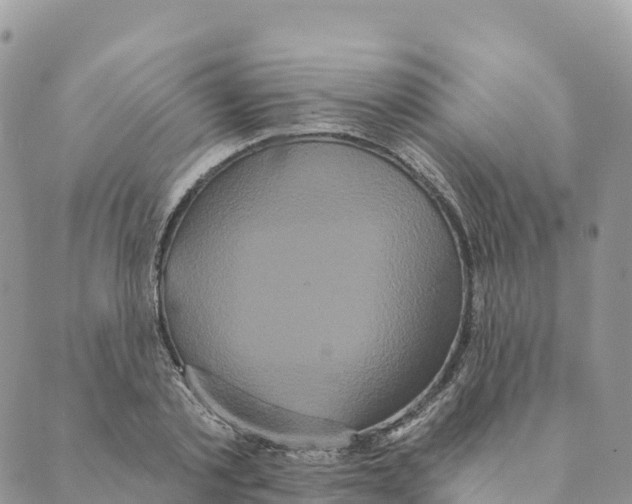 X0000088590789200706221340