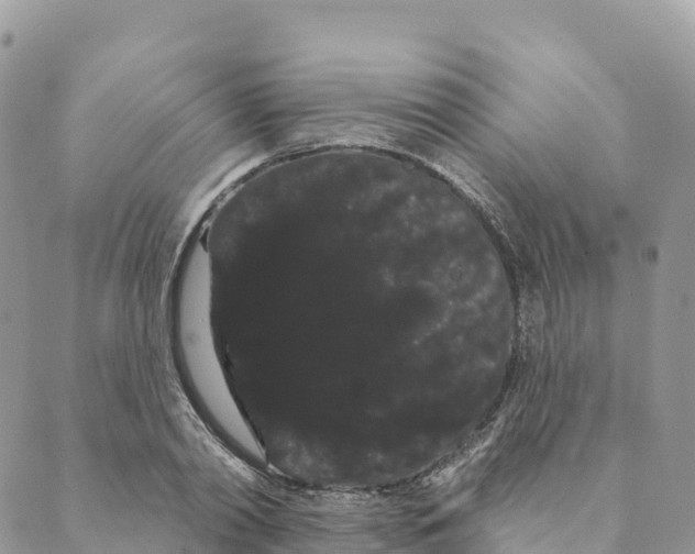 X0000088590790200706221340