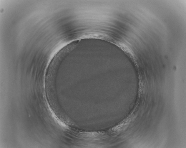 X0000088590792200706221340