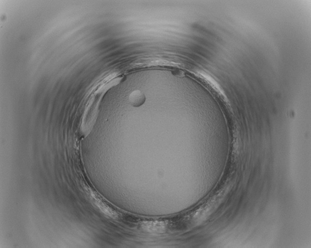 X0000088590793200706221340