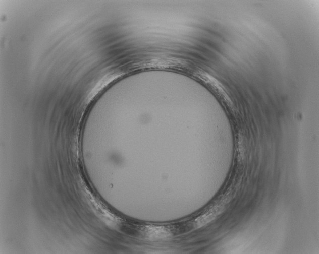 X0000088590794200706221340