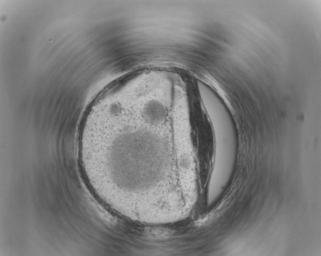 X0000088590795200706221340