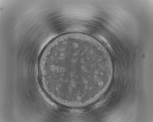 X0000088590796200706221340