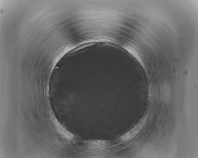 X0000088590797200706221340