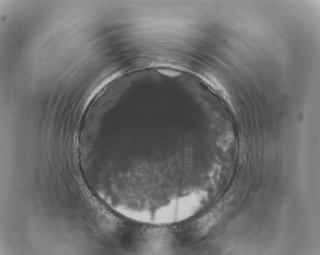 X0000088590798200706221340