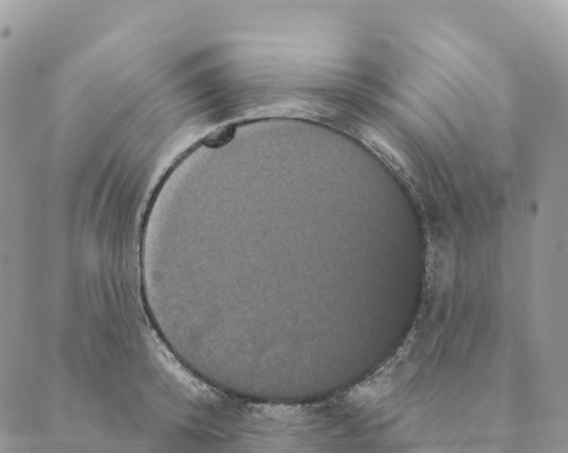 X0000088590800200706221340