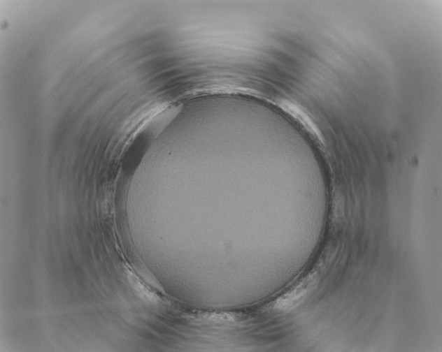 X0000088590801200706221340