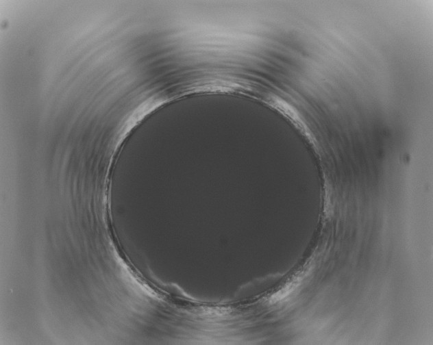 X0000088590802200706221339