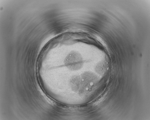 X0000088590803200706221339