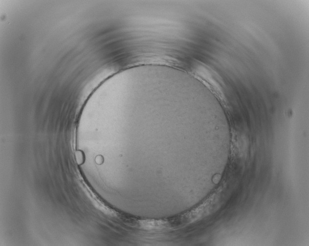 X0000088590804200706221339