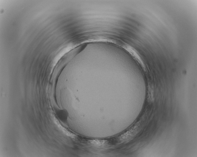 X0000088590805200706221339