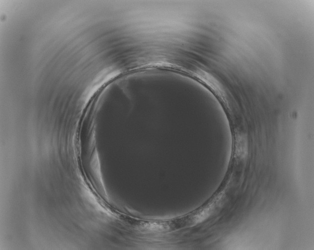 X0000088590806200706221339