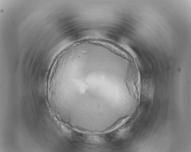 X0000088590807200706221339