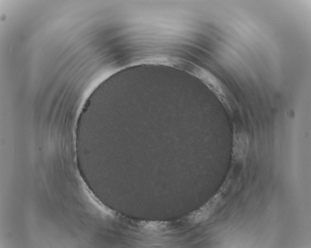 X0000088590808200706221339