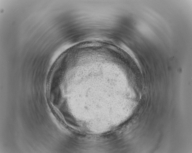 X0000088590811200706221339