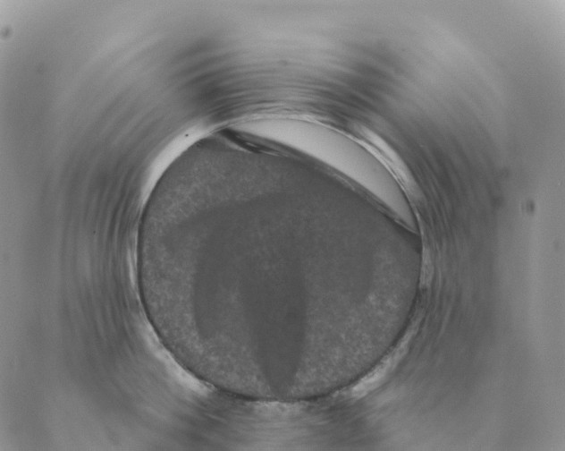 X0000088590812200706221339