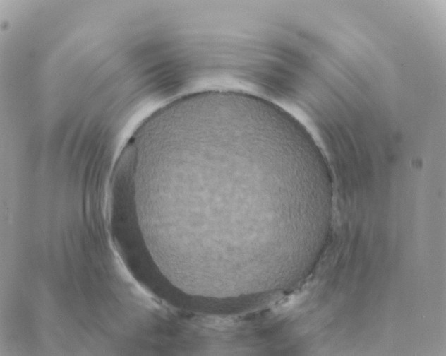 X0000088590815200706221339