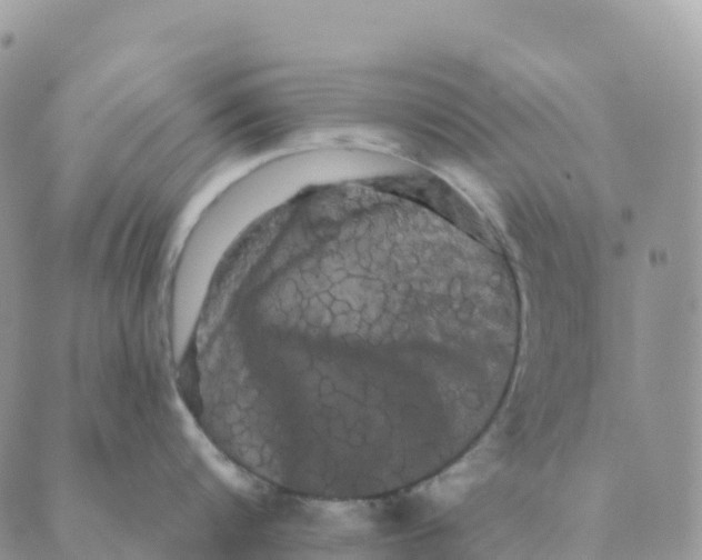 X0000088590816200706221339