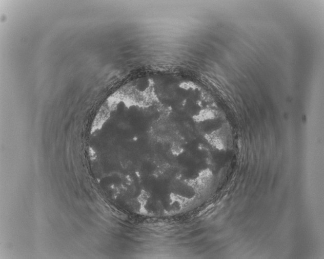 X0000088590817200706221338