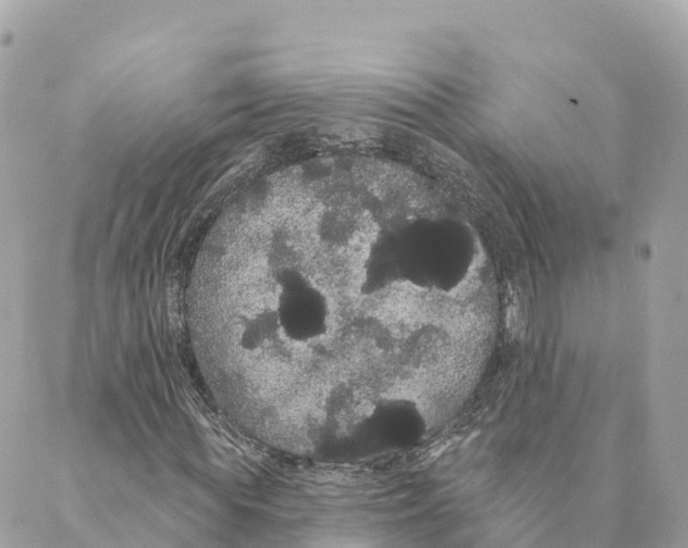 X0000088590819200706221339