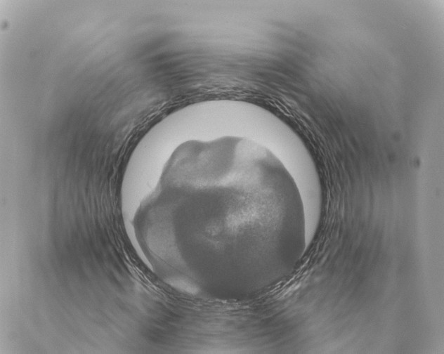 X0000088590820200706221339