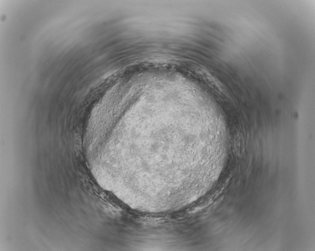 X0000088590821200706221339