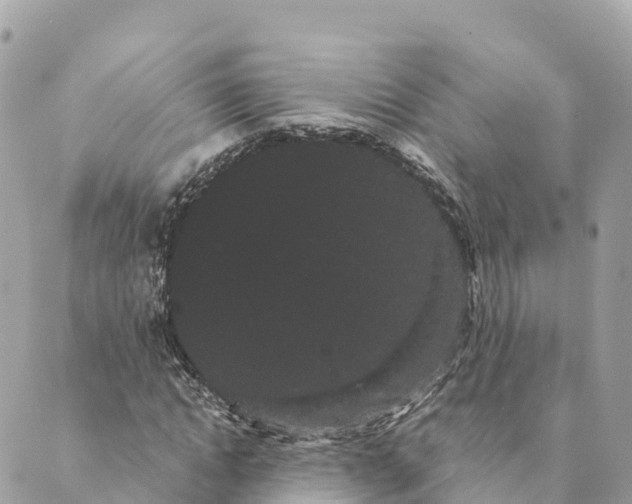 X0000088590822200706221339