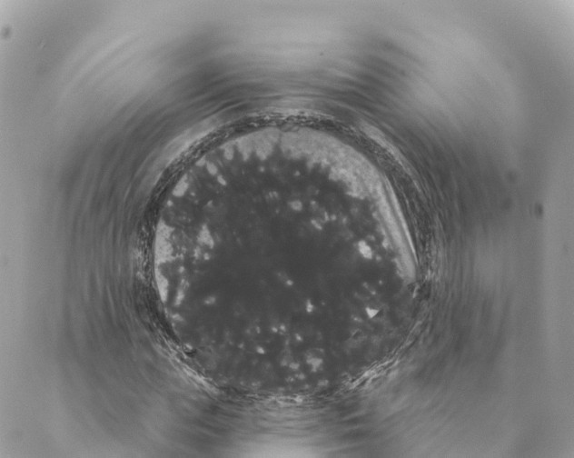 X0000088590823200706221339