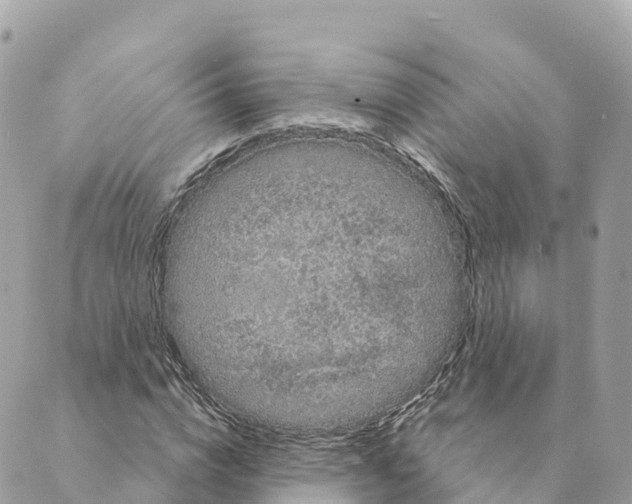 X0000088590824200706221339