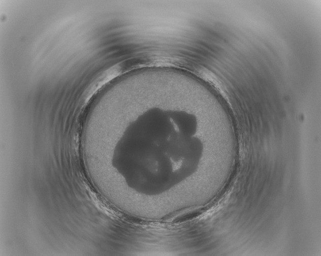 X0000088590827200706221339