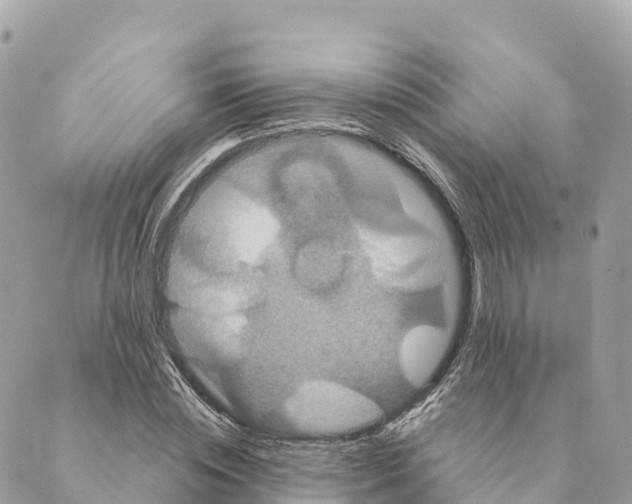 X0000088590828200706221339