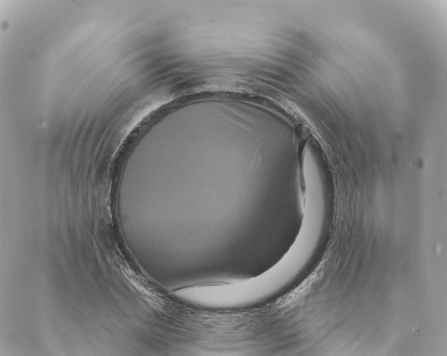 X0000088590830200706221339