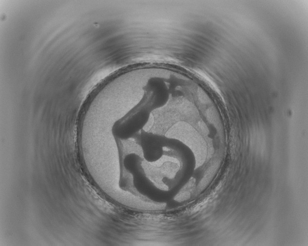 X0000088590831200706221339