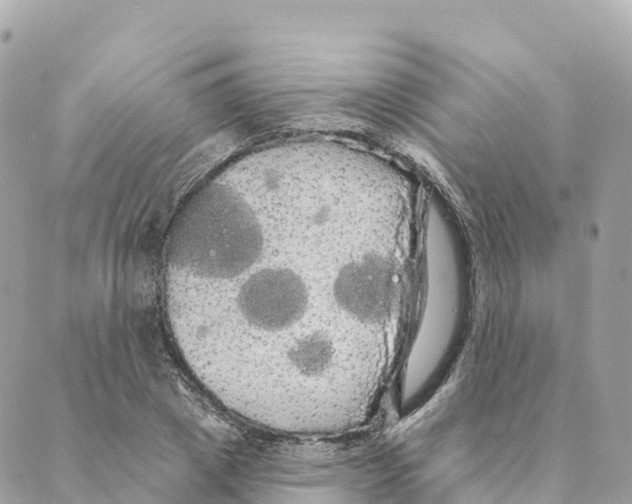 X0000088590833200706221339