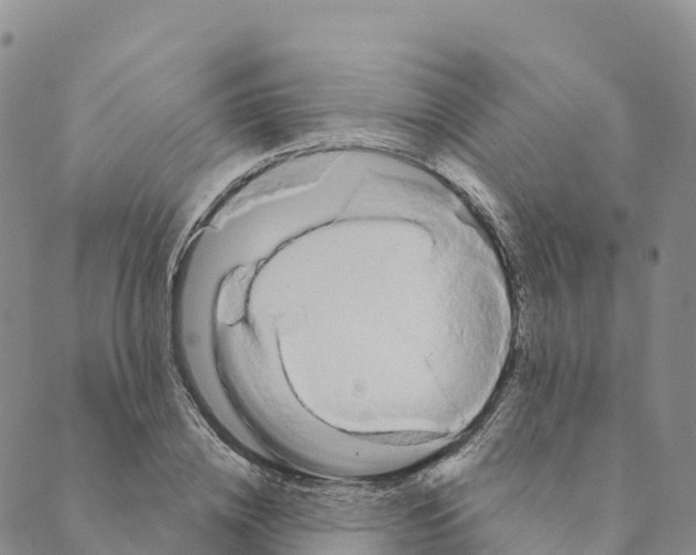 X0000088590836200706221339