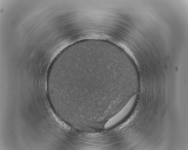 X0000088590837200706221339