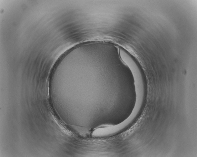 X0000088590838200706221339