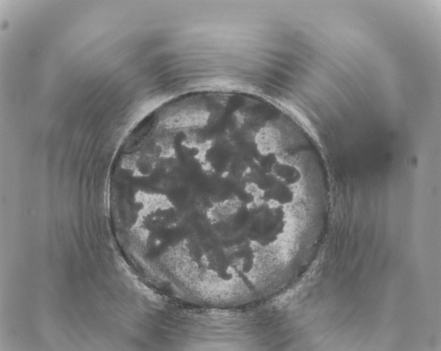 X0000088590839200706221339