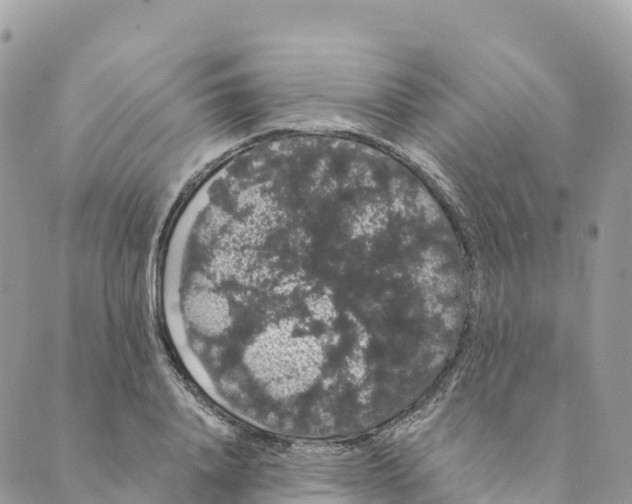 X0000088590840200706221339