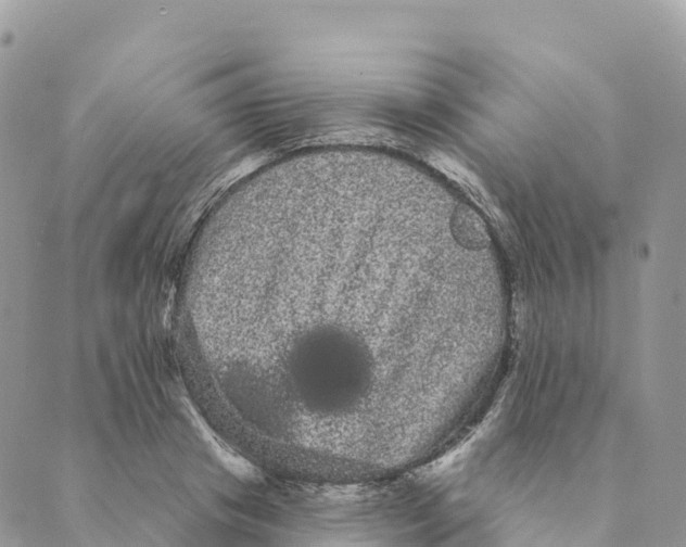 X0000088590841200706221339