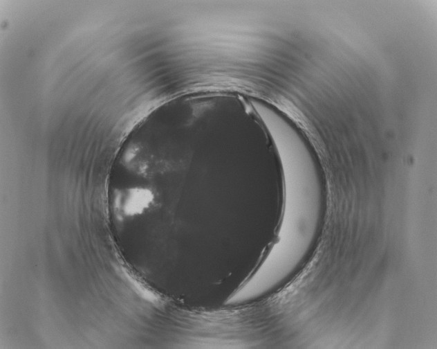 X0000088590842200706221339